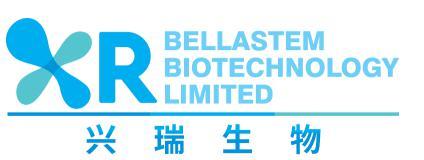 山东兴瑞生物科技