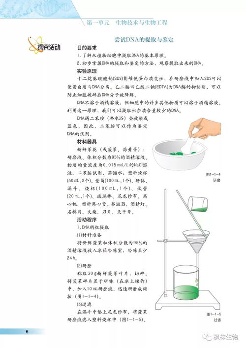 沪科版高中生物选修3 现代生物科技专题 电子课本 高清版