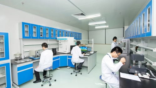 我校杰出校友董凡荣登珠海首富