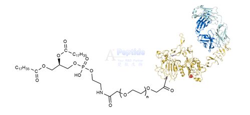 dspe peg pf6 细胞穿膜肽 dspe peg searyl pf6 二硬脂酰基磷脂酰乙醇胺 聚乙二醇 ph响应性细胞穿膜肽