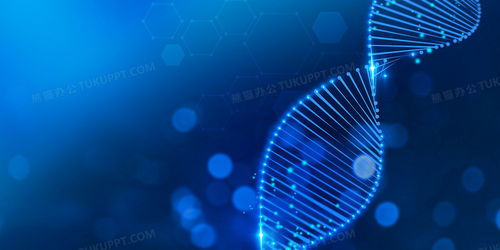 医疗科技生物dna基因链蓝色科技背景背景图片素材免费下载 熊猫办公