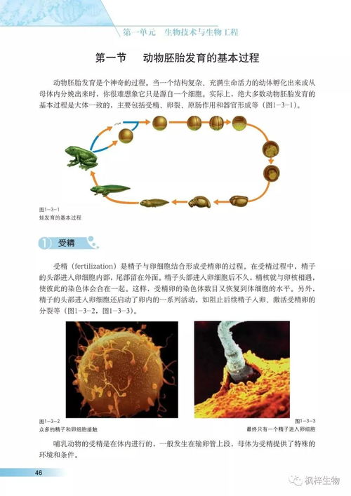 沪科版高中生物选修三《现代生物科技专题》电子课本PDF版免费下载指南